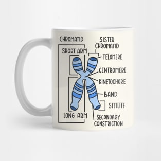 Hand Drawn Chromosome Labeled Mug